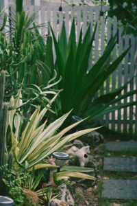 Tips for Creating a Relaxing Outdoor Garden Space at Home